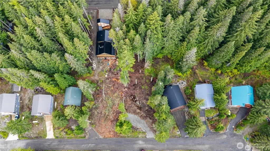 91 Arlberg Place Snoqualmie Pass WA 98068