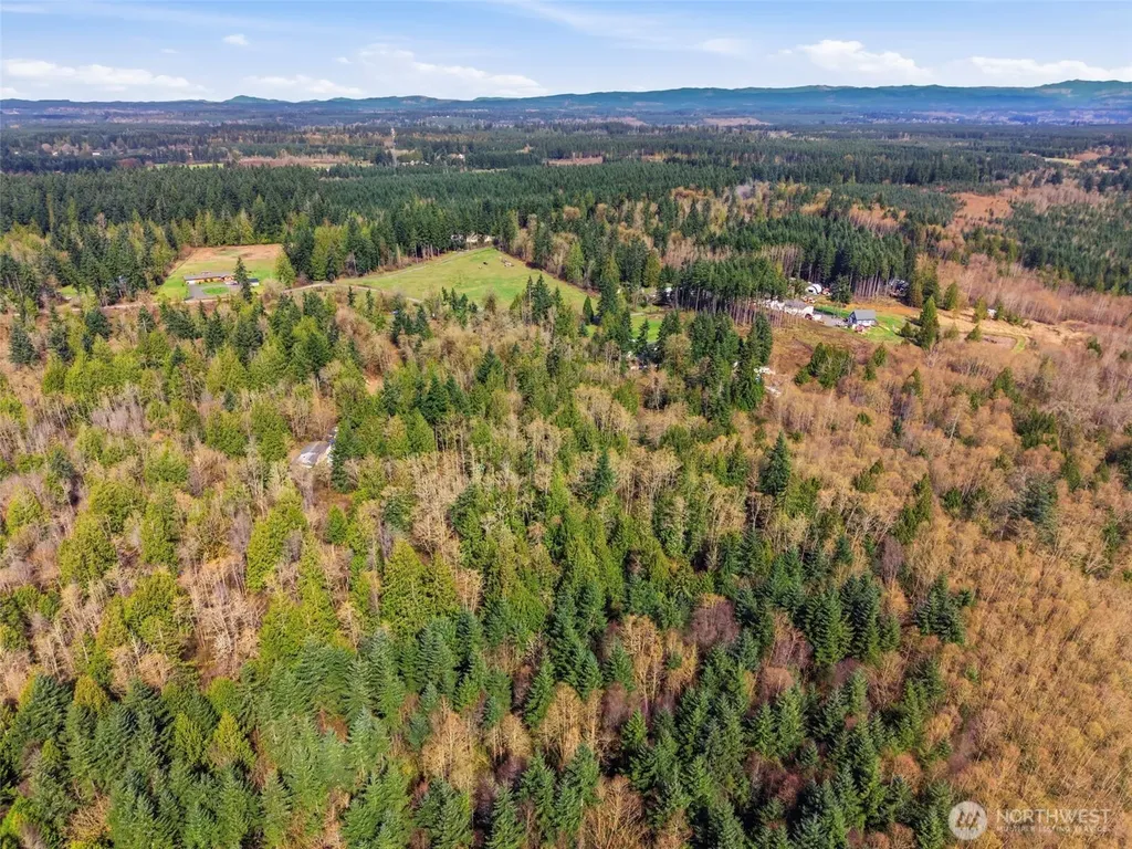 0 S Prairie Road Napavine WA 98532