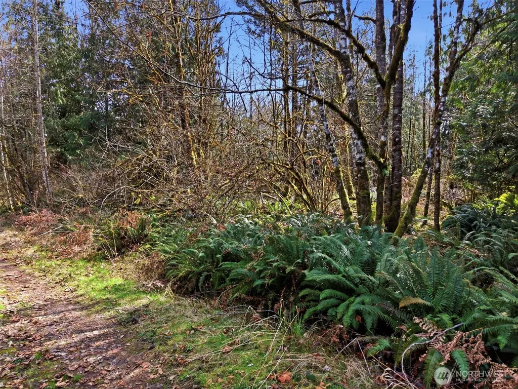 0 S Prairie Road Napavine WA 98532