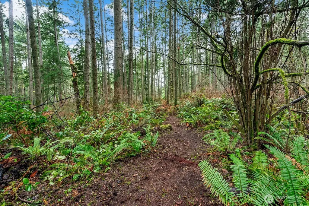 0 SW 220th Street Vashon WA 98070