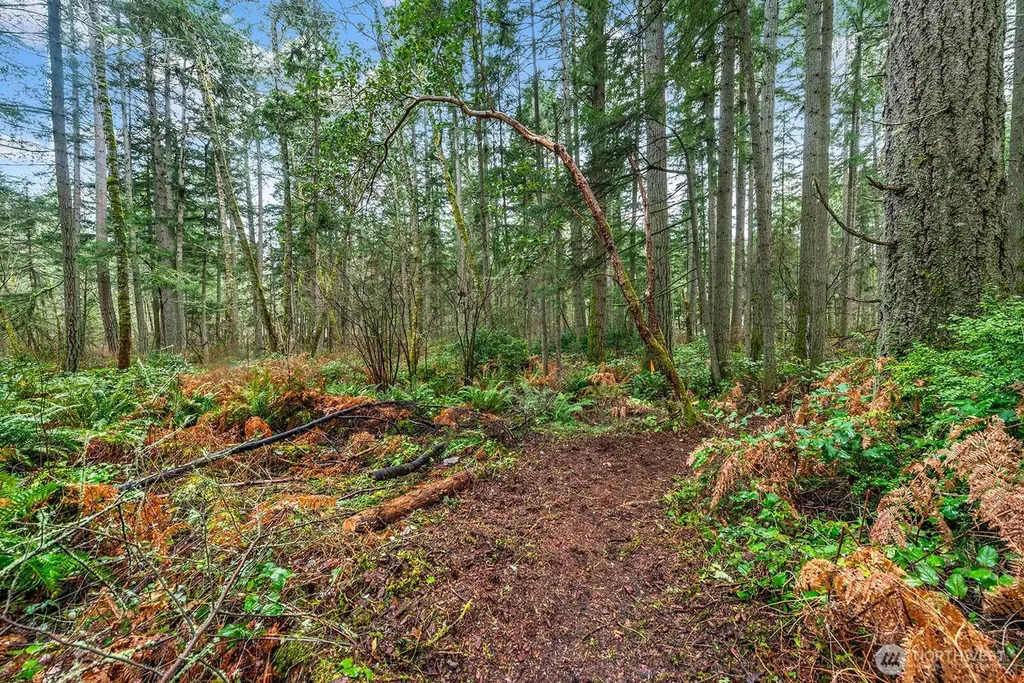 0 SW 220th Street Vashon WA 98070