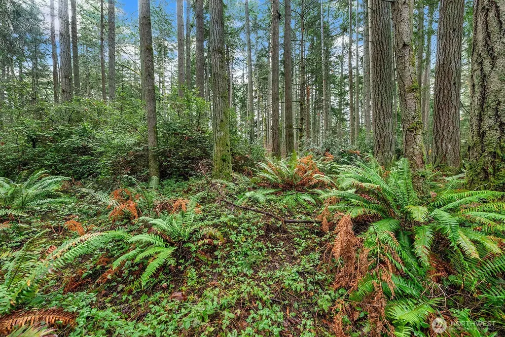 0 SW 220th Street Vashon WA 98070