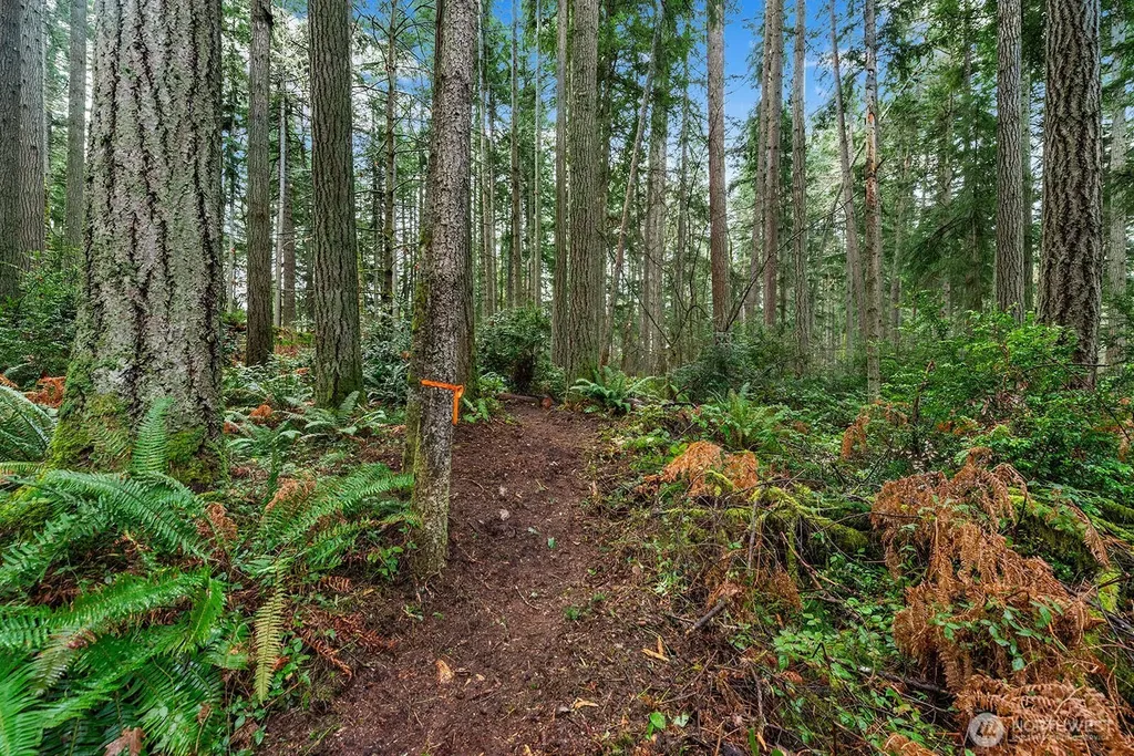 0 SW 220th Street Vashon WA 98070