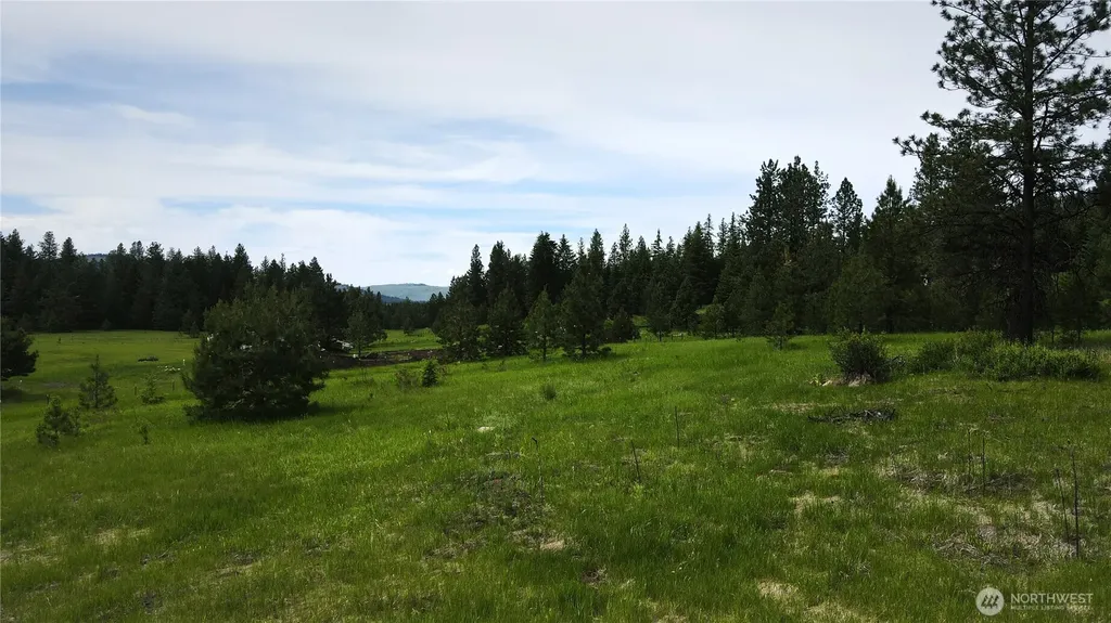 13 Miner's Ridge Road Oroville WA 98844