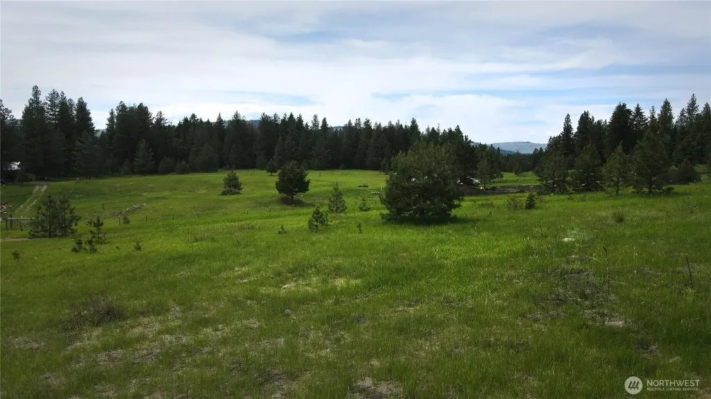 13 Miner's Ridge Road Oroville WA 98844