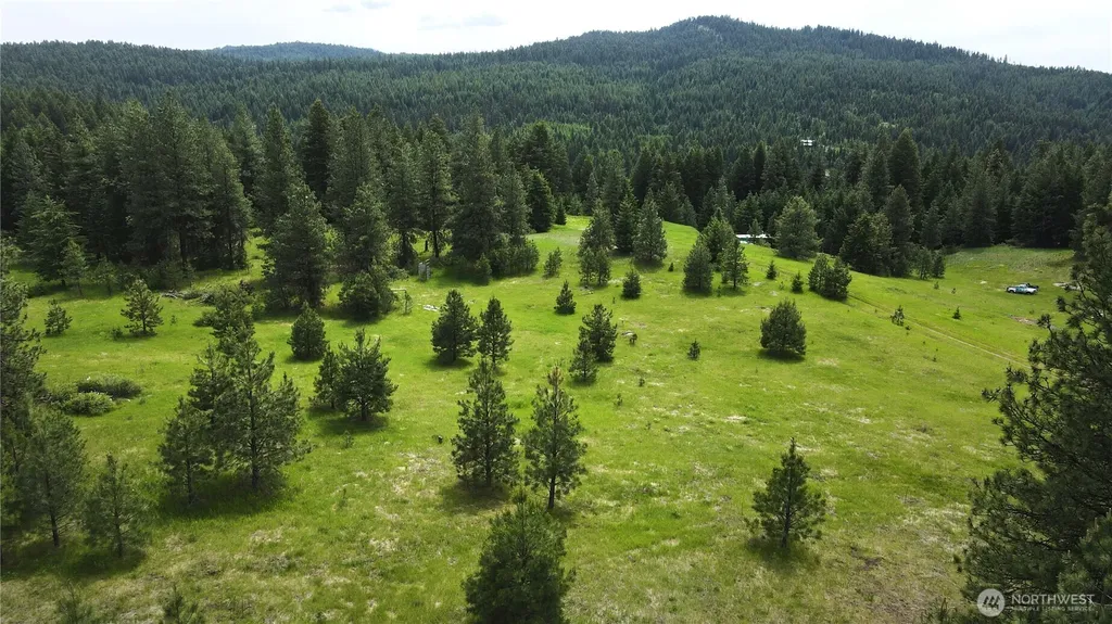 13 Miner's Ridge Road Oroville WA 98844
