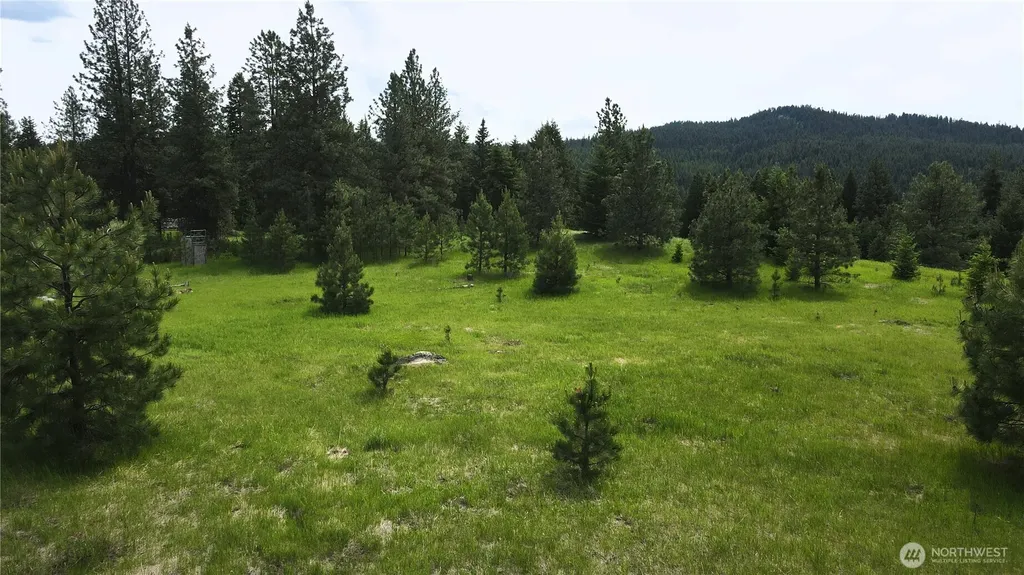 13 Miner's Ridge Road Oroville WA 98844
