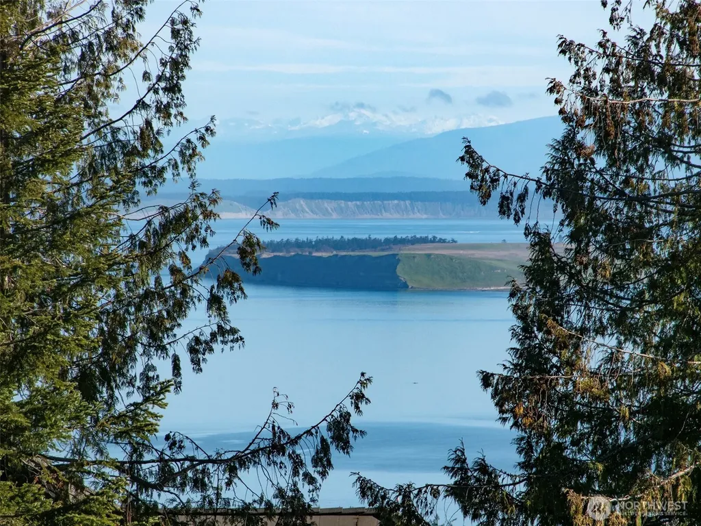 9999 Doe Run Road Sequim WA 98382