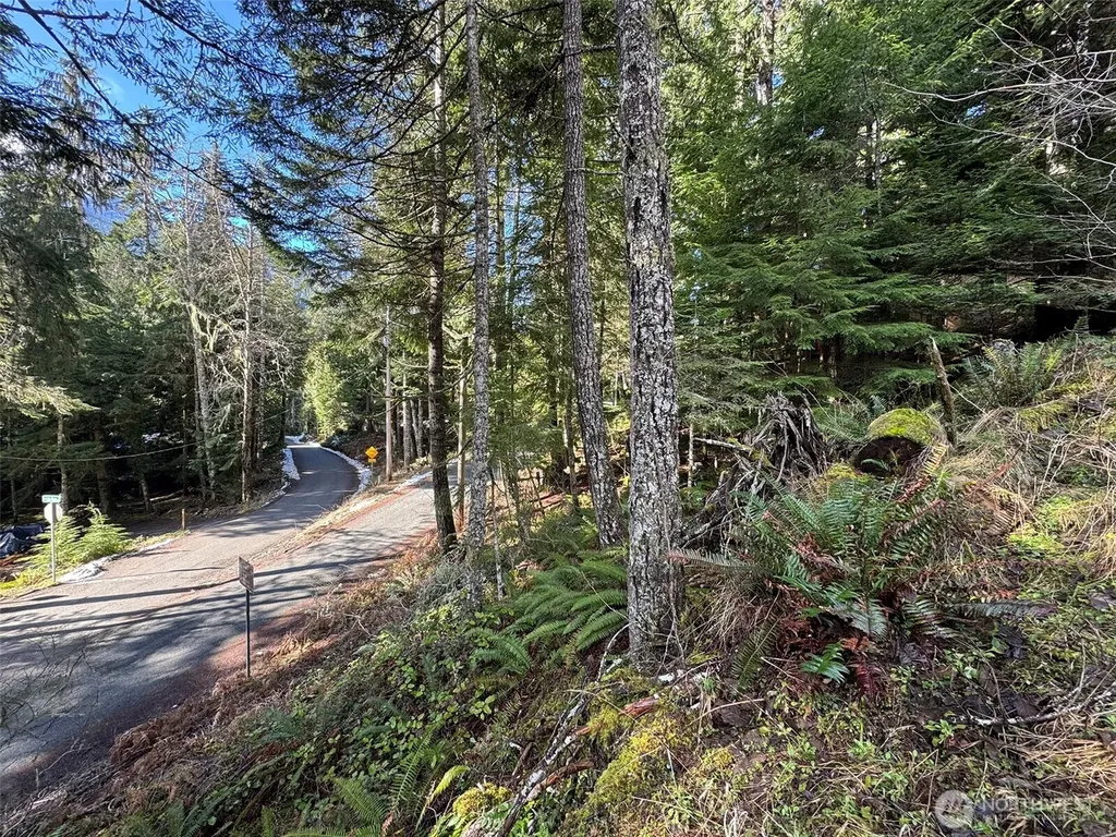 9999 Lake Dawn Road Port Angeles WA 98362
