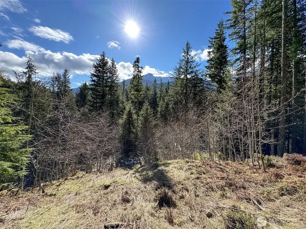 9999 Lake Dawn Road Port Angeles WA 98362