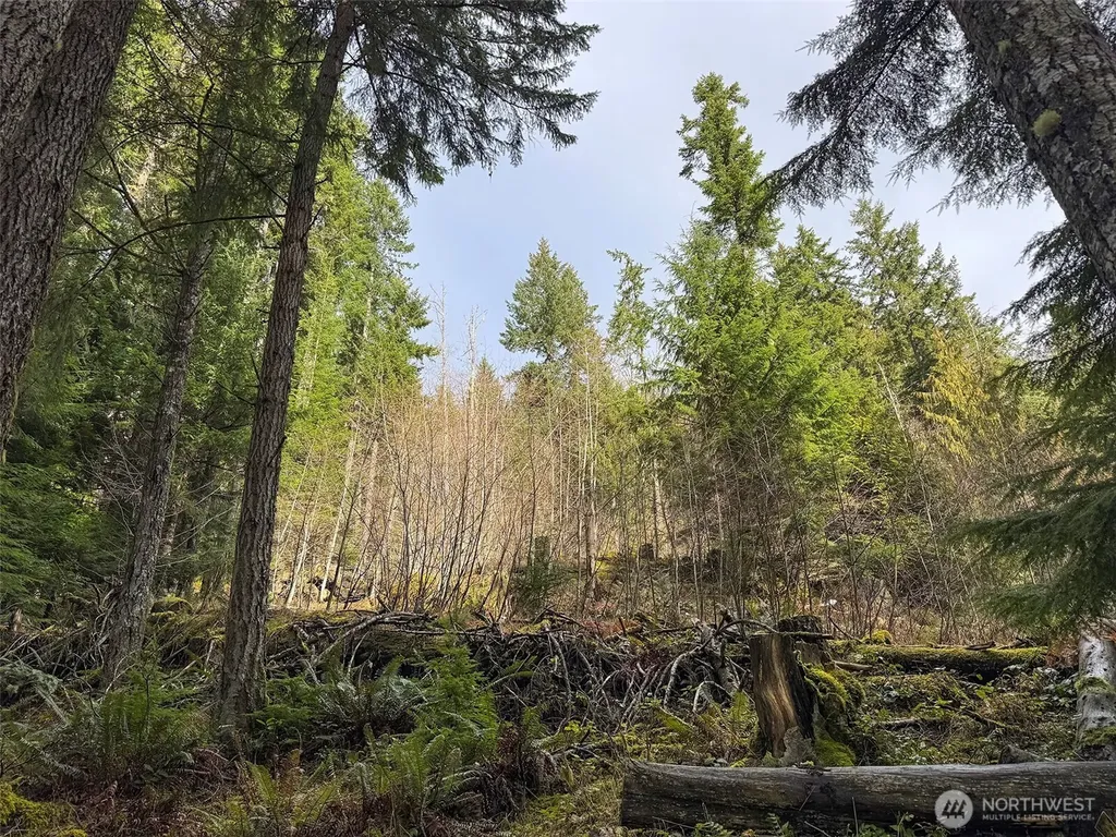 9999 Lake Dawn Road Port Angeles WA 98362