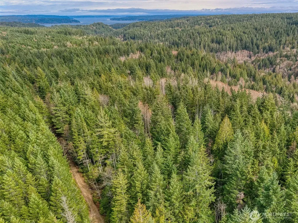 1 Larson Lane NW Seabeck WA 98380