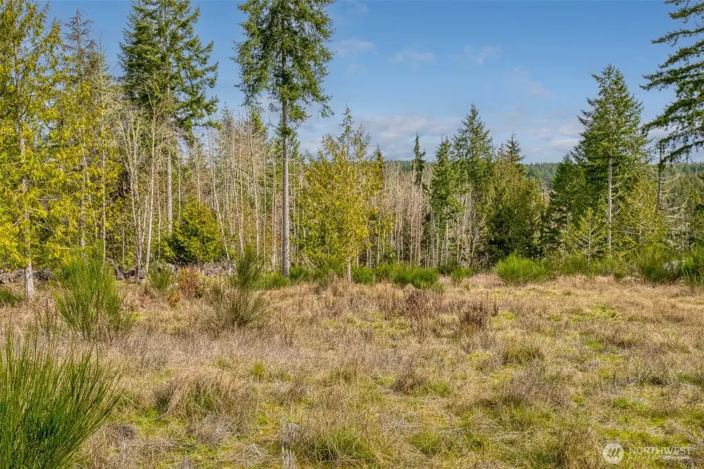 1 Larson Lane NW Seabeck WA 98380
