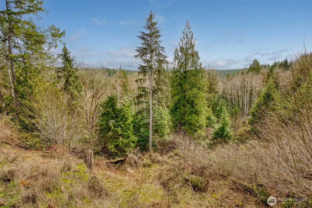 1 Larson Lane NW Seabeck WA 98380