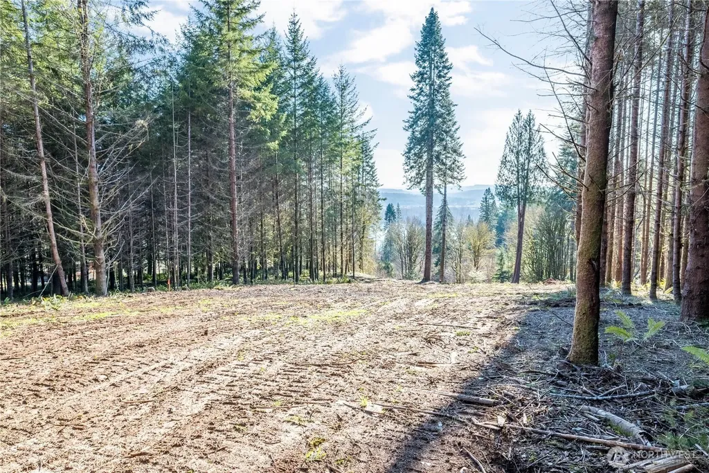 0 Bunker Hill Road Longview WA 98632
