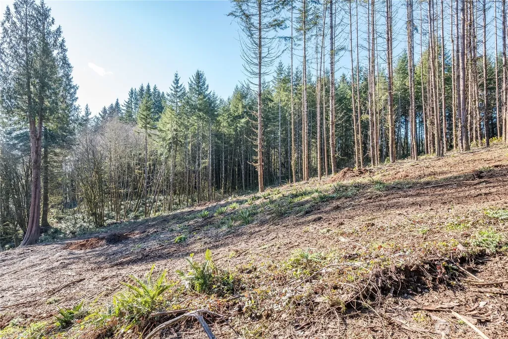 0 Bunker Hill Road Longview WA 98632