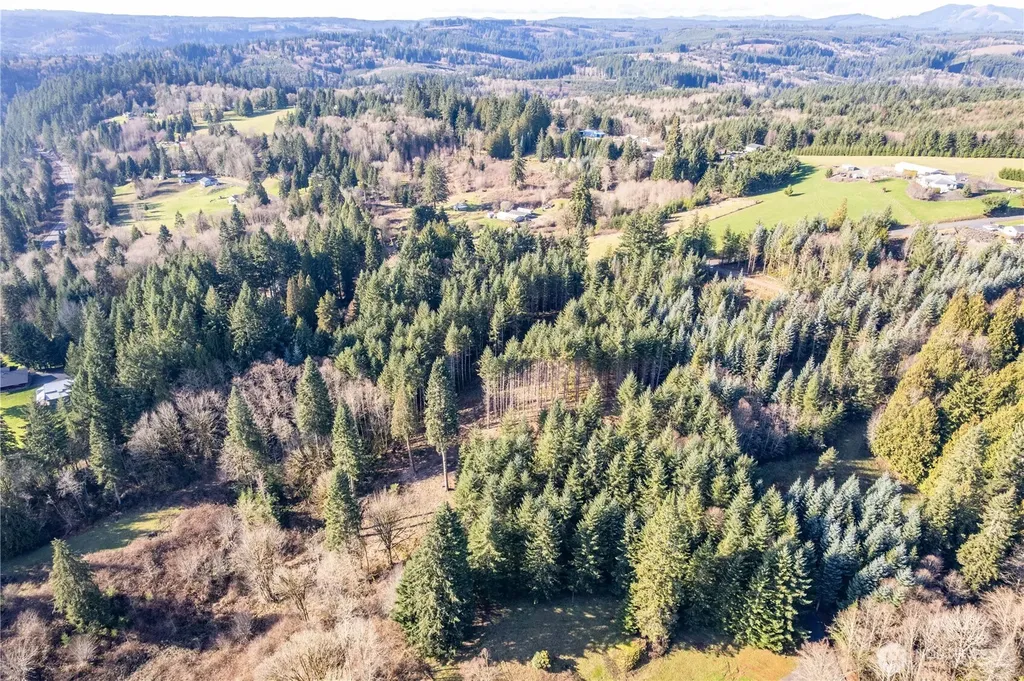 0 Bunker Hill Road Longview WA 98632