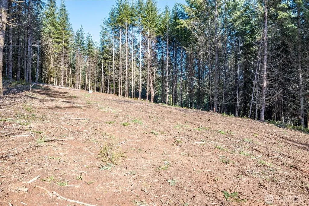 0 Bunker Hill Road Longview WA 98632