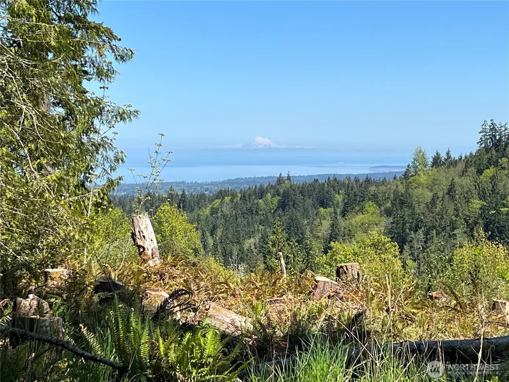 9999 E Half Mile Rd., Lot B Port Angeles WA 98362