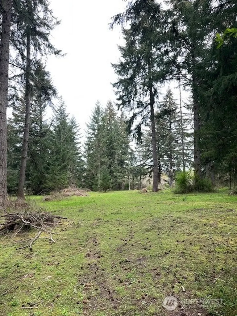 5134 Old Military Road SE Tenino WA 98589