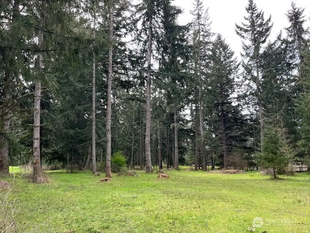 5134 Old Military Road SE Tenino WA 98589
