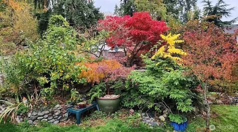 14056 23rd Place NE Seattle WA 98125