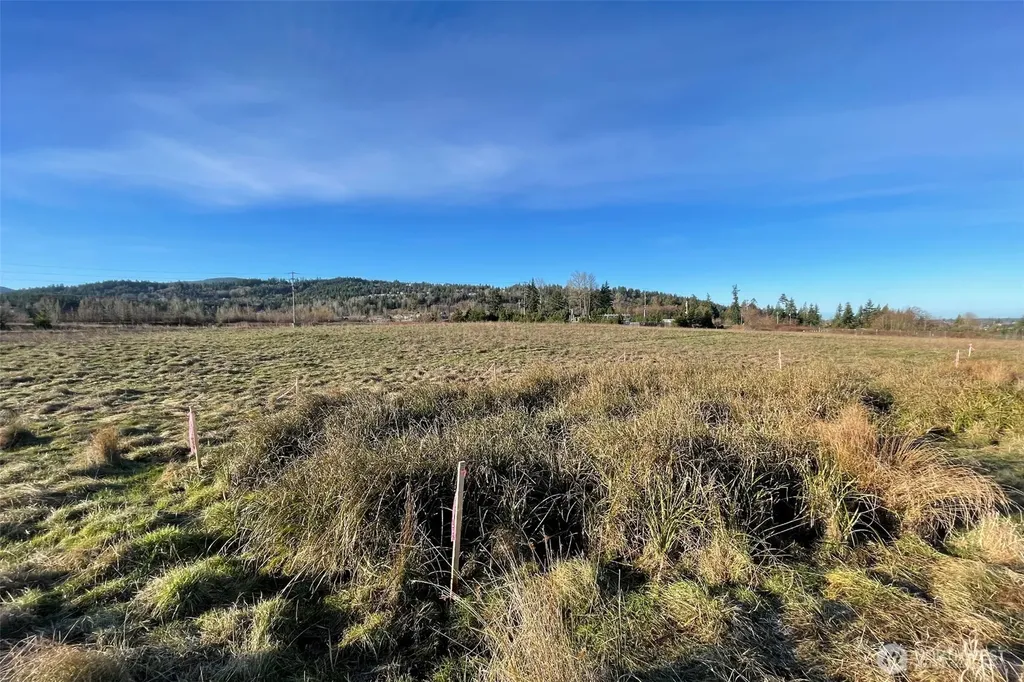 336 Bell Bottom Road Sequim WA 98382
