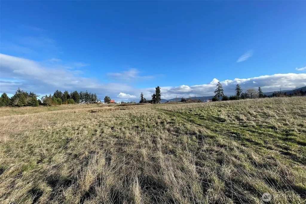 336 Bell Bottom Road Sequim WA 98382