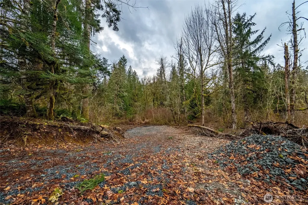 0 Mosquito Lake Road Deming WA 98244