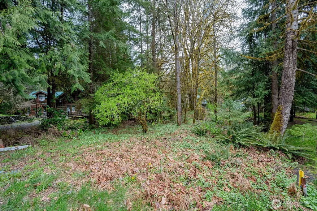 14039 Chimney Lane Deming WA 98244