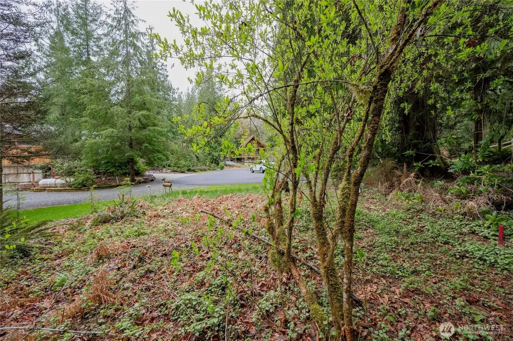 14039 Chimney Lane Deming WA 98244