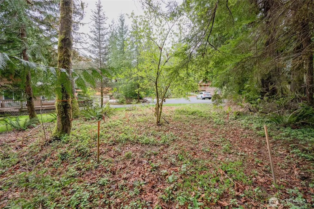 14039 Chimney Lane Deming WA 98244