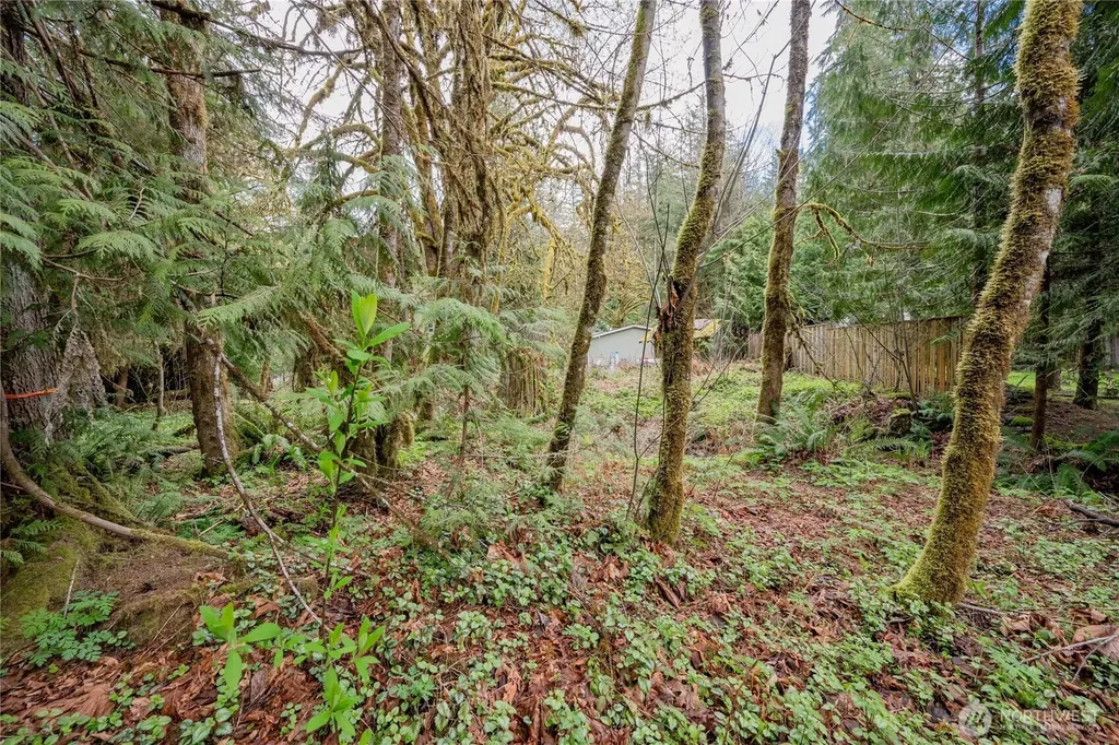 14039 Chimney Lane Deming WA 98244