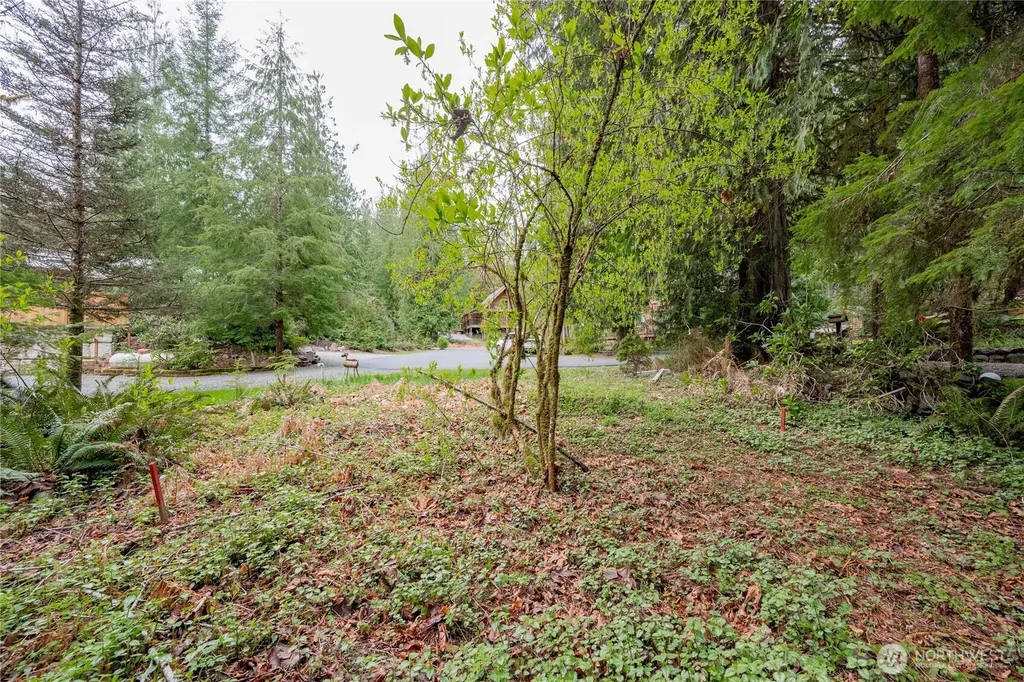 14039 Chimney Lane Deming WA 98244