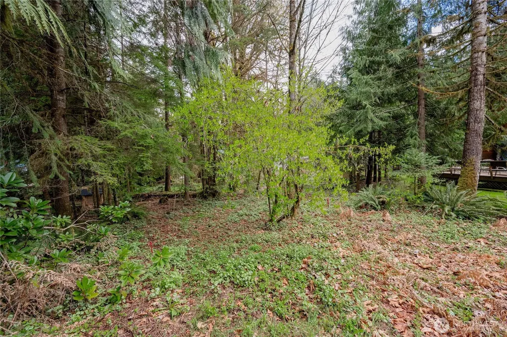 14039 Chimney Lane Deming WA 98244