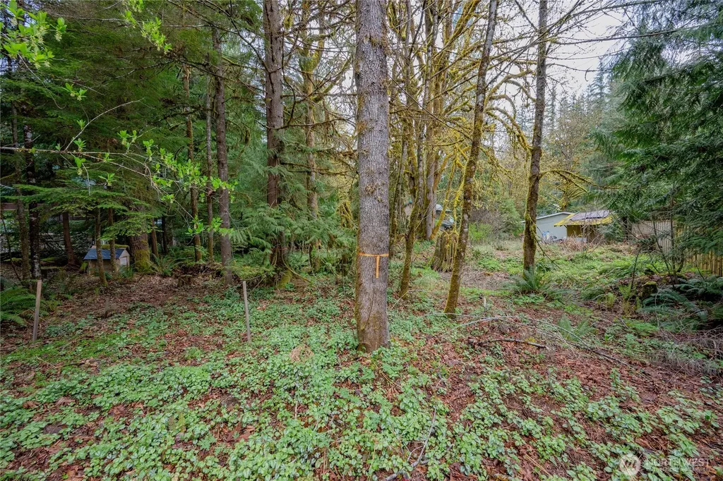 14039 Chimney Lane Deming WA 98244