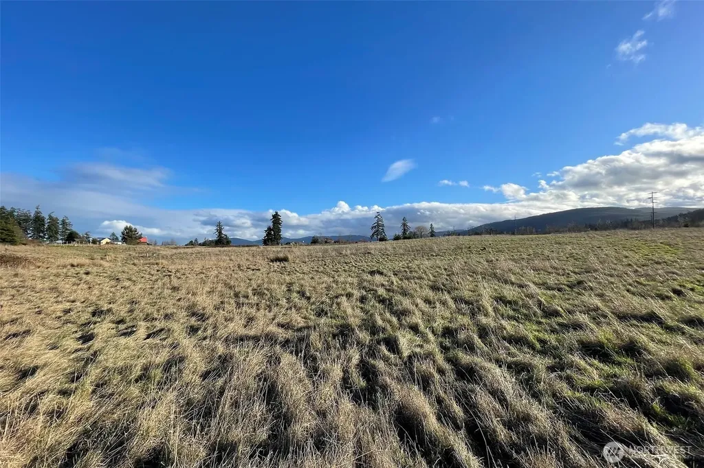 0 Wa Harbor Lp & 336 Bell Bottom Road Sequim WA 98382