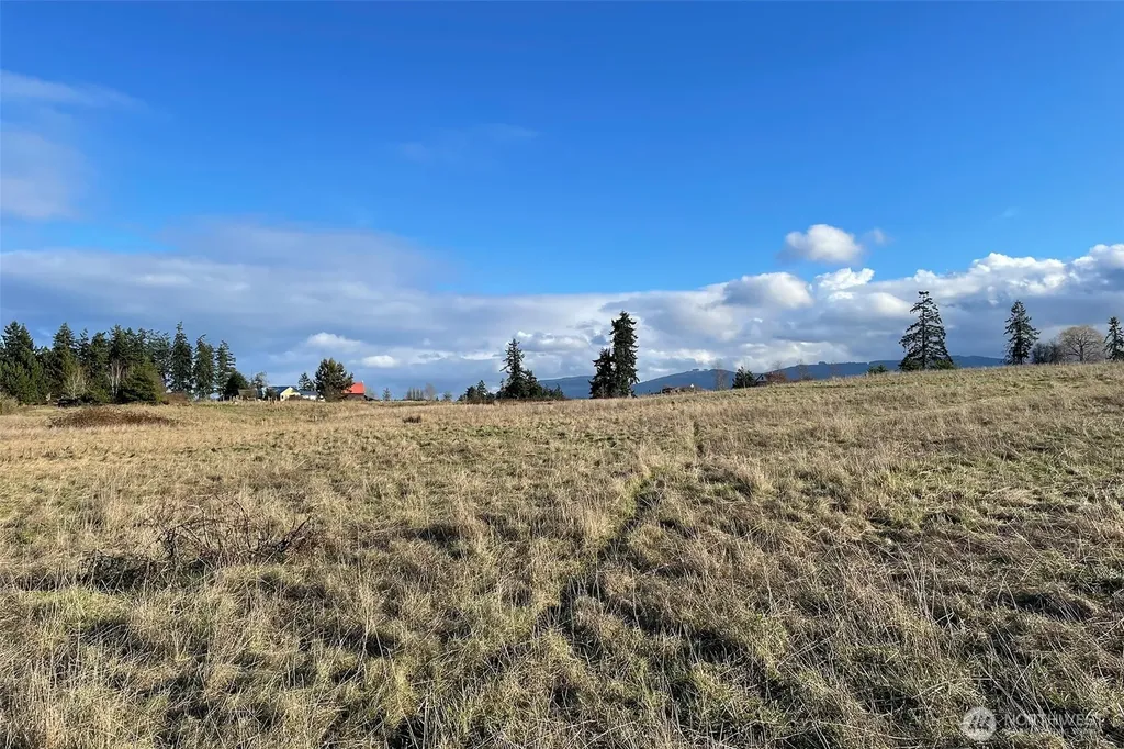 0 Wa Harbor Lp & 336 Bell Bottom Road Sequim WA 98382
