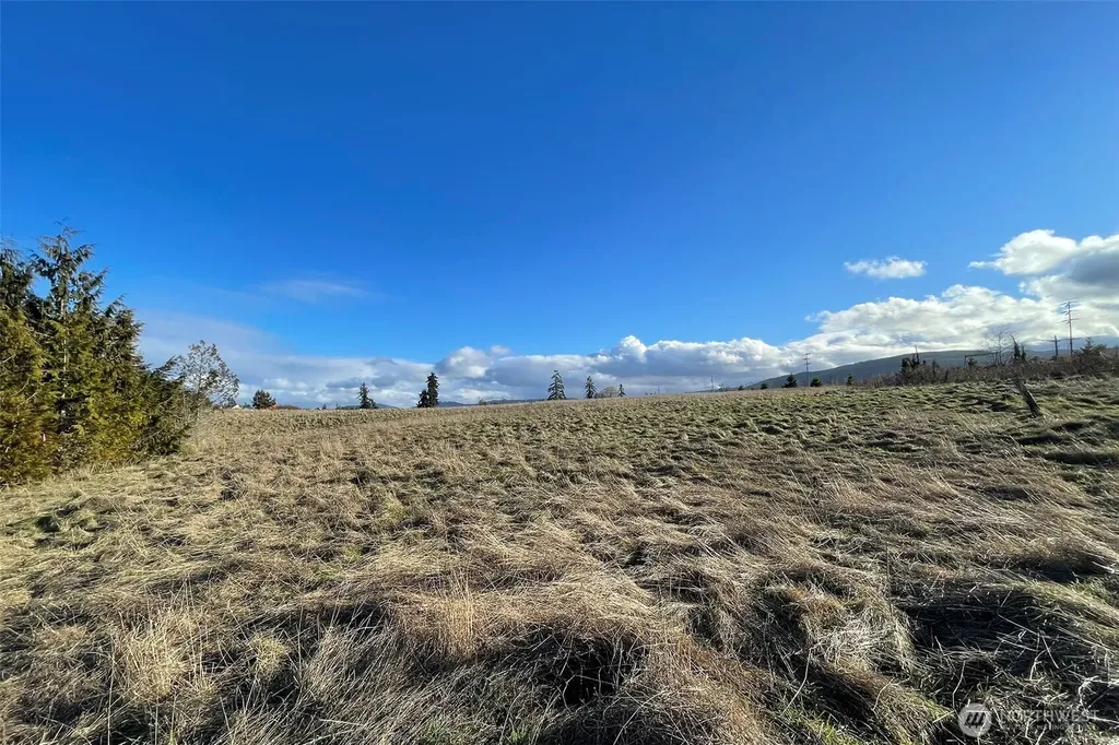 0 Wa Harbor Lp & 336 Bell Bottom Road Sequim WA 98382