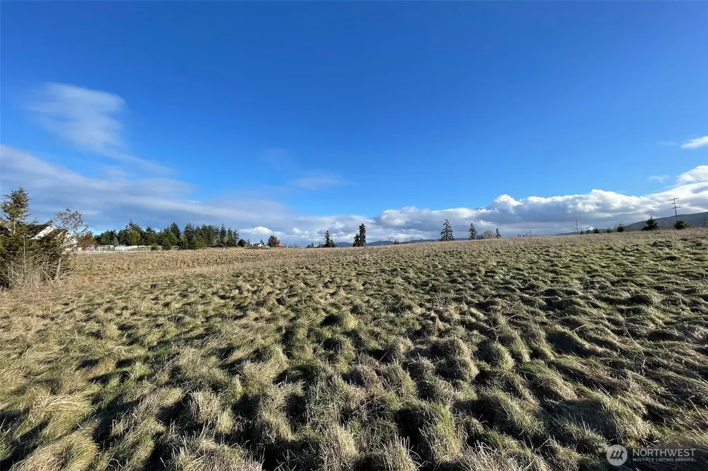 0 Wa Harbor Lp & 336 Bell Bottom Road Sequim WA 98382