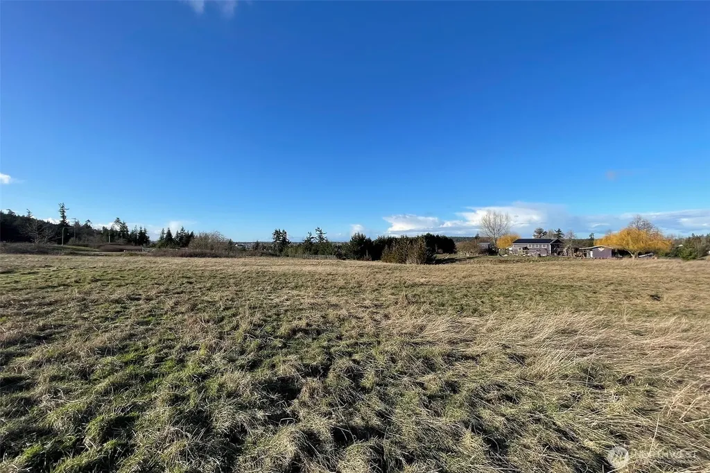 0 Wa Harbor Lp & 336 Bell Bottom Road Sequim WA 98382