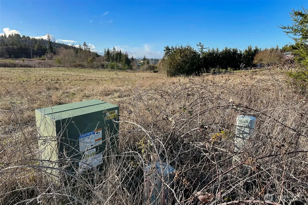 0 Wa Harbor Lp & 336 Bell Bottom Road Sequim WA 98382