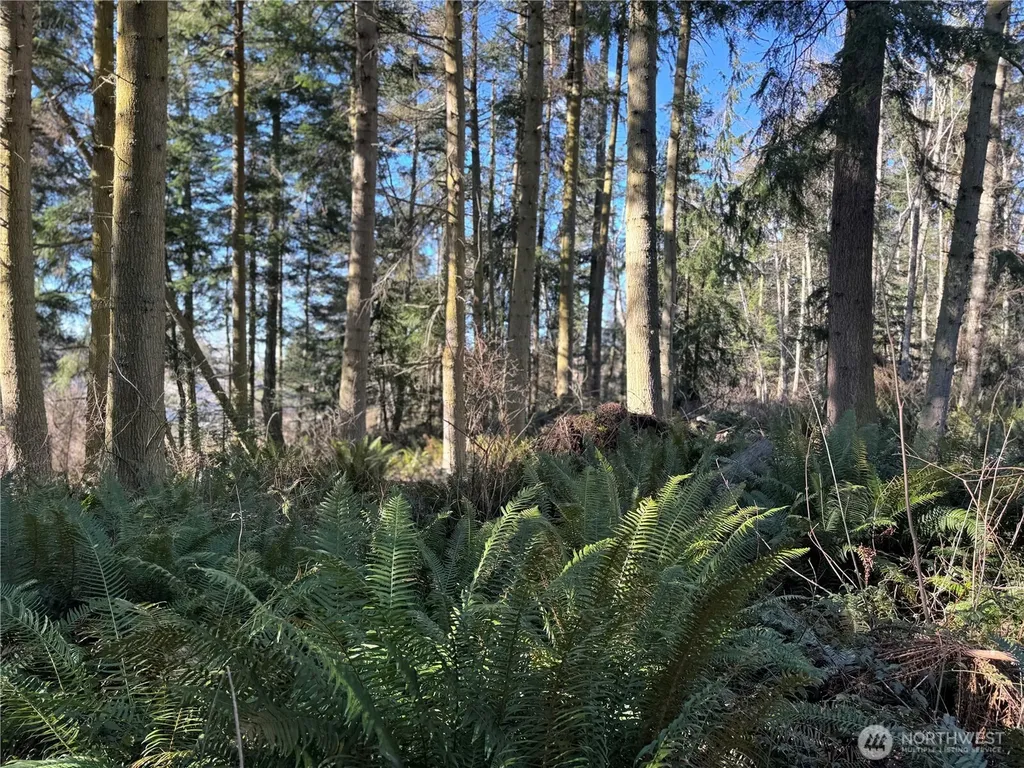 28062 State Route 525 Coupeville WA 98239
