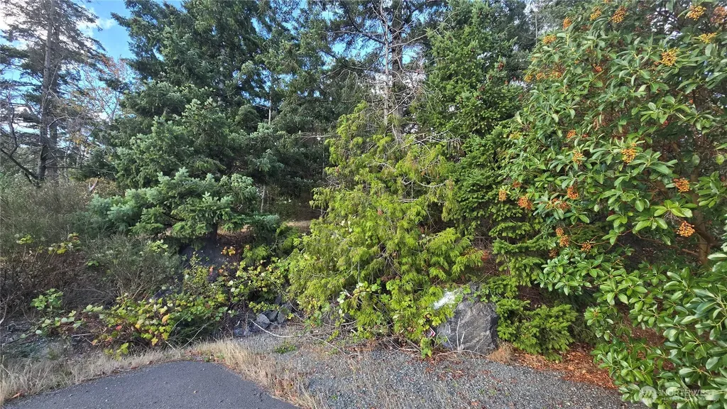 7701 State Route 20 Anacortes WA 98221