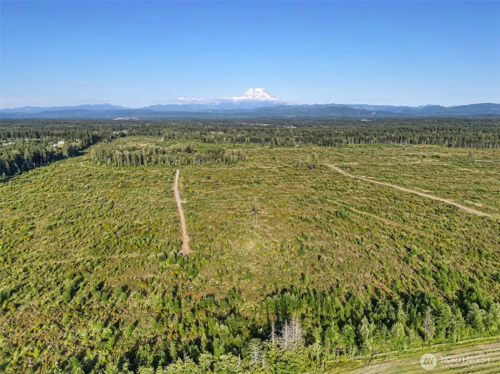 32149 19th Avenue Ct E Roy WA 98580