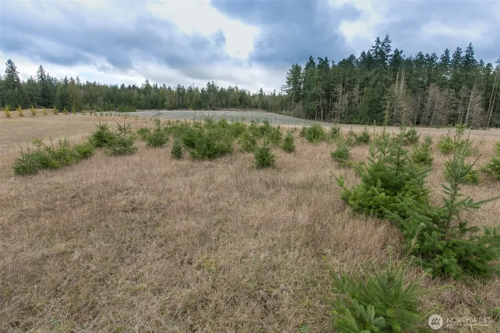0 Highway 101 Sequim WA 98382