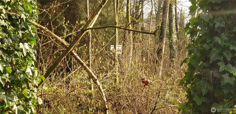 26 SW 308th Street Federal Way WA 98023