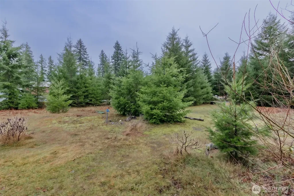 105 Jack Fir Court E Packwood WA 98361