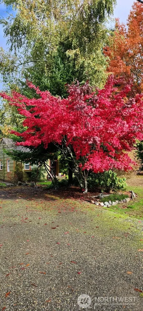 1912 Elliott Avenue NW Olympia WA 98502