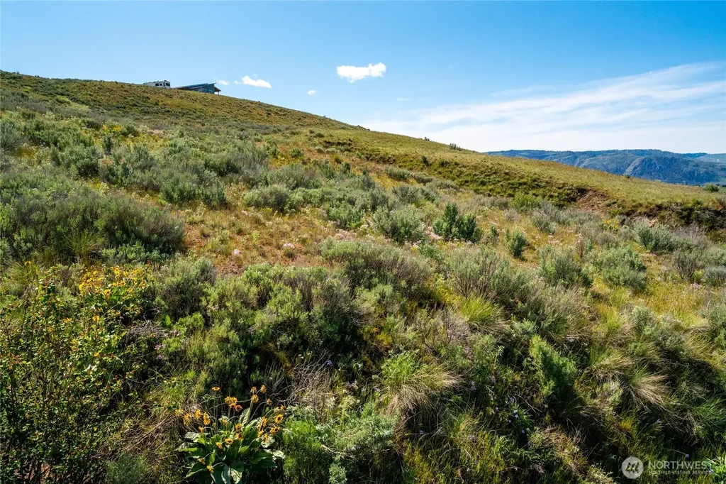 0 Plata Road Lot 4 Brewster WA 98812